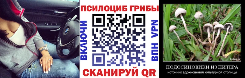 Галлюциногенные грибы Magic Shrooms  Калининец 
